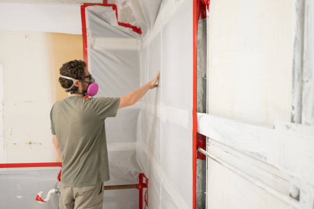  Buckeye, AZ Mold Removal Pros