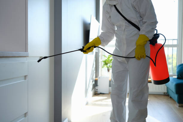 Best Airborne Mold Testing  in Buckeye, AZ