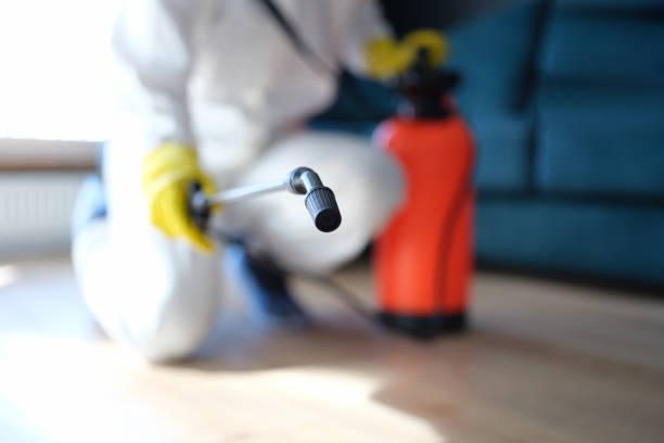 Best Residential Mold Inspection & Testing  in Buckeye, AZ