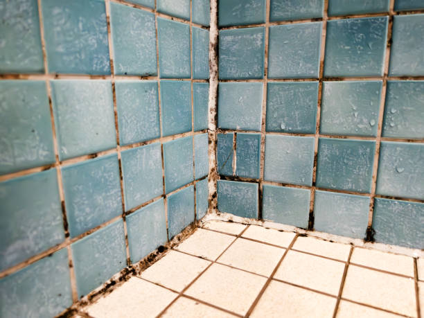 Best HVAC Mold Inspection and Cleaning  in Buckeye, AZ