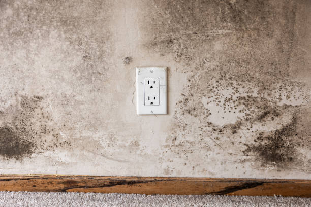 Best Crawl Space Mold Remediation  in Buckeye, AZ