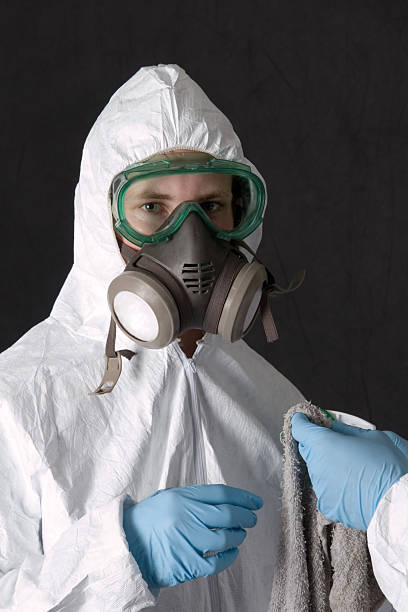 Best Environmental Consulting for Mold Prevention  in Buckeye, AZ